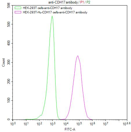 CSB-RA613267MA1HU FC